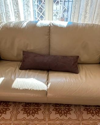 Divani in pelle