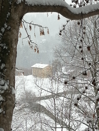 Rustico in Lessinia con area barbecue