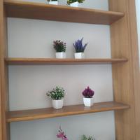 piantine e poster decorativi