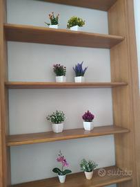 piantine e poster decorativi