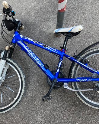 Bicicletta Bambino