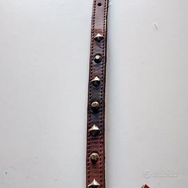 Collare cuoio con borchie cani e gatti