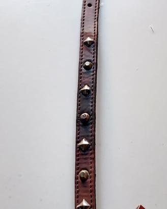 Collare cuoio con borchie cani e gatti