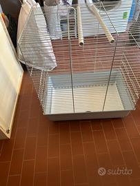 Gabbia pet