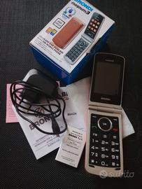 Cellulare vari (6 tipi articoli)