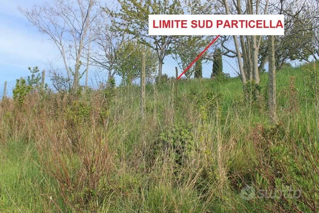 Immobile in asta di 20670 m² a Lapedona - Vista 3