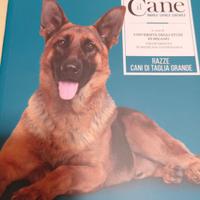 Il Cane Amarlo capirlo educarlo #10