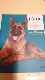 Il Cane Amarlo capirlo educarlo #10