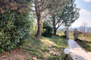 Villa indipendente con terreno e bosco annesso