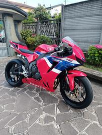 Honda CBR 600 - 2024