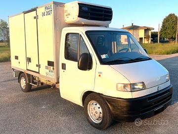 Fiat Ducato Cella Frigo 