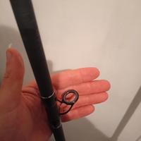 canna surfcasting electra 5kw 4.50m