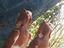 Immagine 3