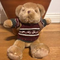 Peluche the teddy bear collection