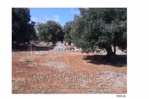 Terreno Agricolo Monopoli [A4299073]
