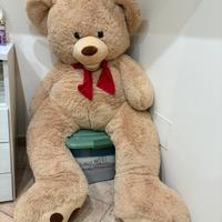 Orso di Peluche