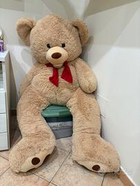 Orso di Peluche