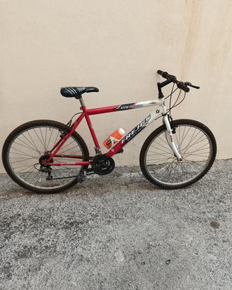 bicicletta mountain-bike 