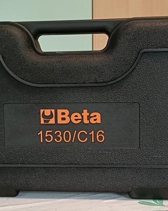 Beta

1530/C16 Kit per estrazione mozzi e cuscine