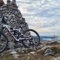 Specialized Enduro in carbonio