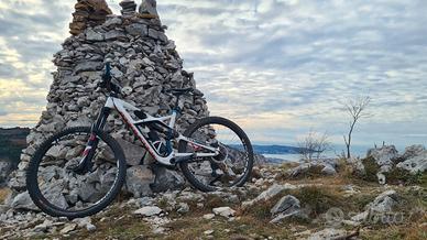 Specialized Enduro in carbonio