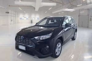 TOYOTA RAV 4 HYBRID 2.5 HV 178 CV E-CVT BUSINESS 2