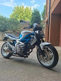 Suzuki Gladius 650