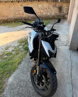 Honda hornet