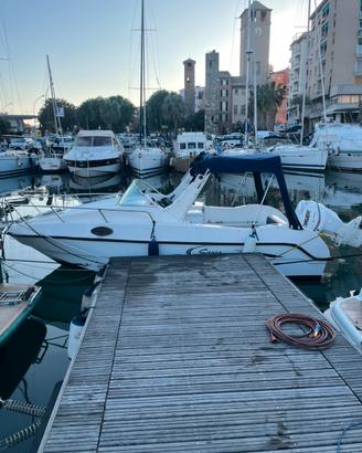 Cabinato Saver 620