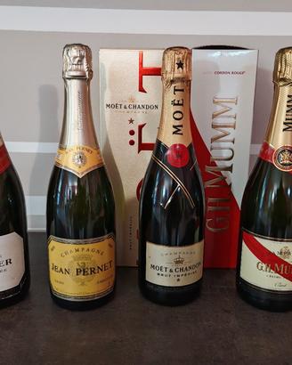 lotto champagne 