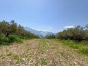 ter-agricolo-a-castellammare-del-golfo