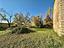 Immagine 24