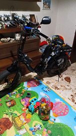 Bici elettrica con pedalata assistita