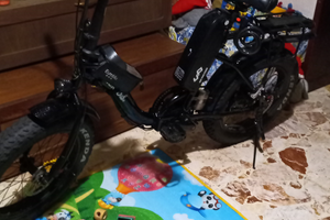 Bici elettrica con pedalata assistita