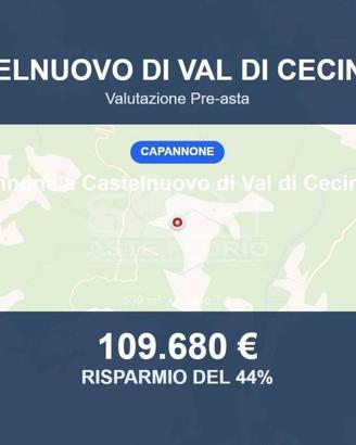 Immobile in asta di 539 m² a Castelnuovo di Val di