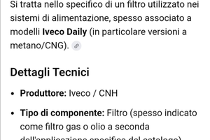 Filtri metano per iveco Daily