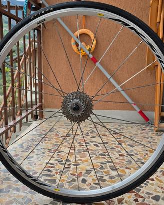 Cerchi Mavic Aksium Race