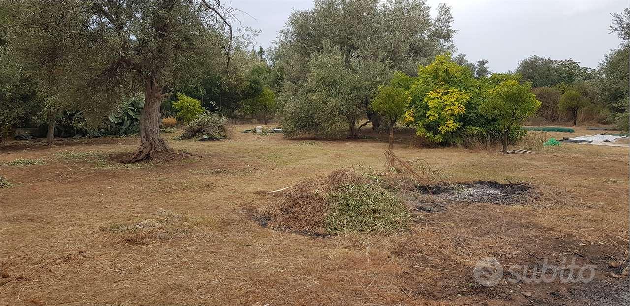 Terreno agricolo - Vista 3