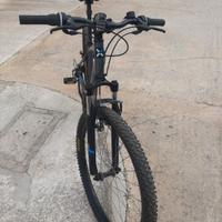 Bicicletta taglia L