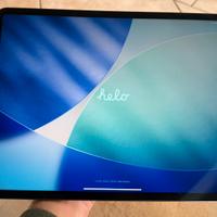 Ipad Pro 12,9” 256GB Cellular (3ª gen)