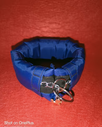 Barbone Poodle collare salvapelo