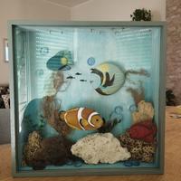 bakeca acquario da collezione