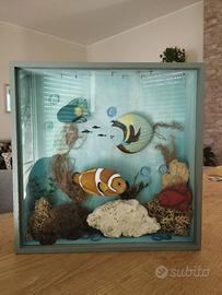 bakeca acquario da collezione