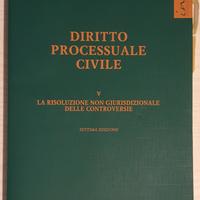 Diritto Processuale Civile