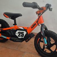stacyc 12 