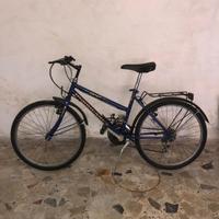 Bicicletta Mountain Bike 24"