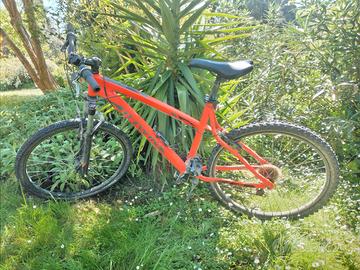 Bicicletta mountan bike