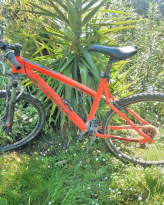 Bicicletta mountan bike