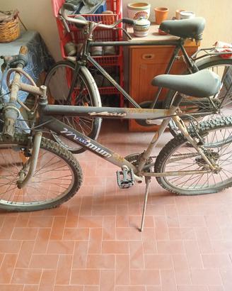 biciclette