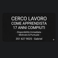 Magazziniere altro